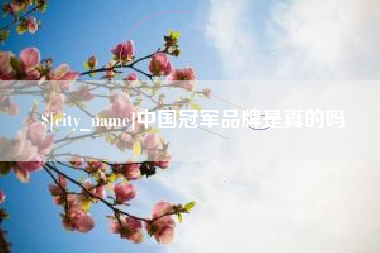 临邑中国冠军品牌是真的吗