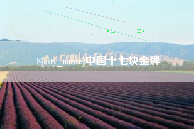 临邑中国十七块金牌