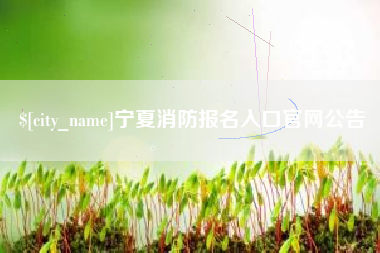 临邑宁夏消防报名入口官网公告