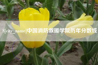 临邑中国消防救援学院历年分数线