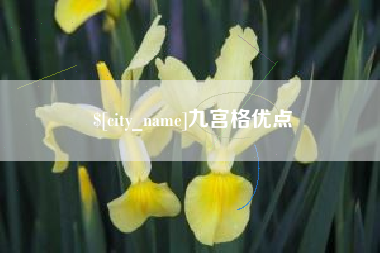 临邑九宫格优点