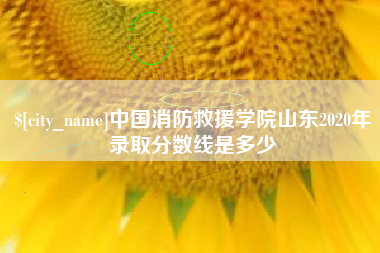 临邑中国消防救援学院山东2020年录取分数线是多少