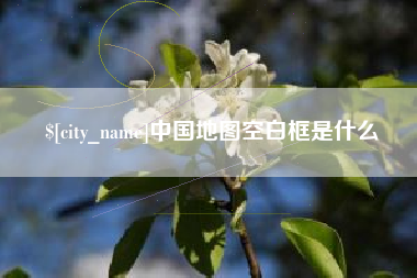 临邑中国地图空白框是什么