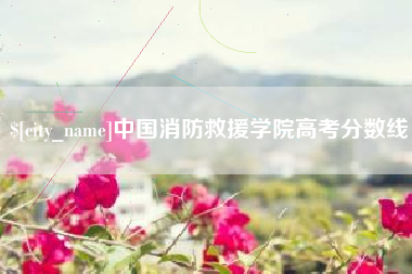 临邑中国消防救援学院高考分数线
