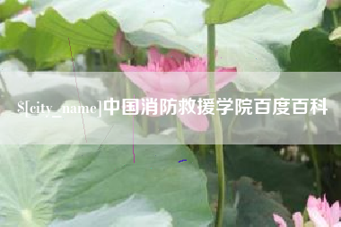临邑中国消防救援学院百度百科