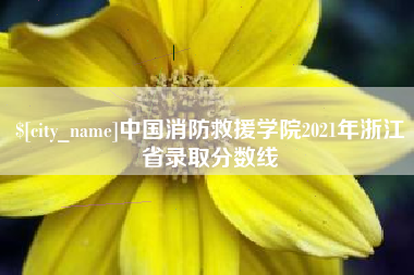 临邑中国消防救援学院2021年浙江省录取分数线