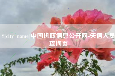 临邑中国执政信息公开网-失信人员查询页