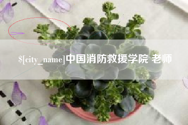 临邑中国消防救援学院 老师