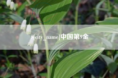 临邑中国第9金