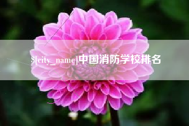 临邑中国消防学校排名