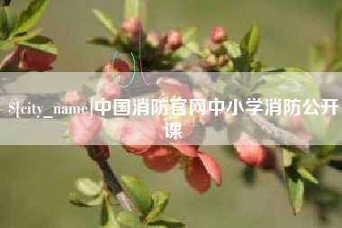 临邑中国消防官网中小学消防公开课
