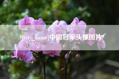 临邑中国冠军头像图片
