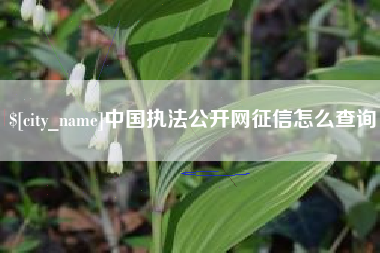 临邑中国执法公开网征信怎么查询