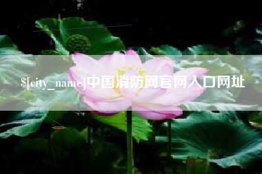 临邑中国消防网官网入口网址