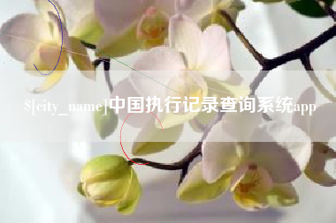 临邑中国执行记录查询系统app