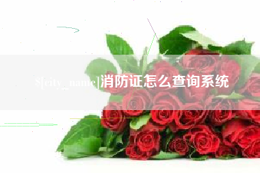 临邑消防证怎么查询系统