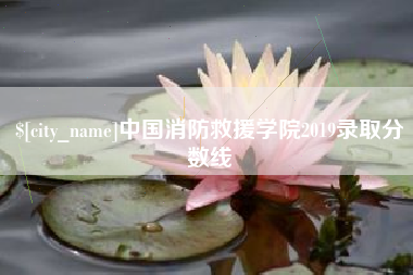 临邑中国消防救援学院2019录取分数线