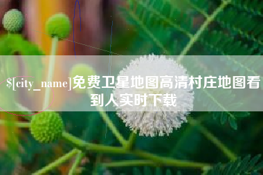 临邑免费卫星地图高清村庄地图看到人实时下载