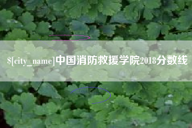 临邑中国消防救援学院2018分数线