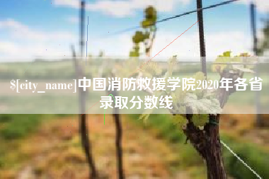 临邑中国消防救援学院2020年各省录取分数线