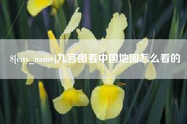 临邑九宫图看中国地图怎么看的