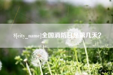 临邑全国消防日是第几天？