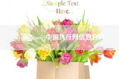 临邑中国执行网信息官网