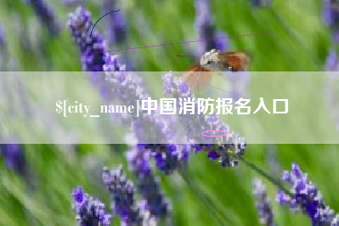 临邑中国消防报名入口