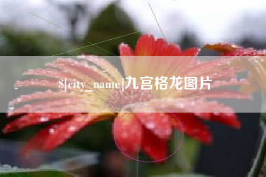临邑九宫格龙图片