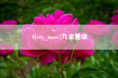 临邑九金是谁