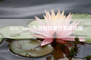 临邑九宫格位置代表成员图