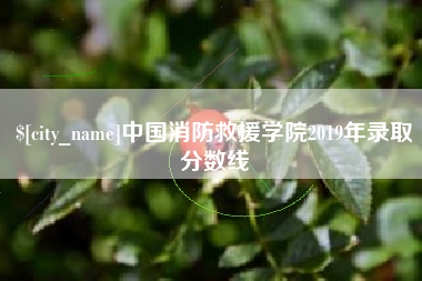 临邑中国消防救援学院2019年录取分数线