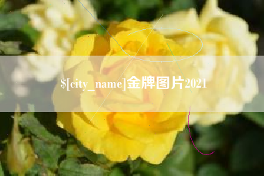 临邑金牌图片2021