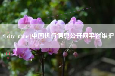 临邑中国执行信息公开网平台维护