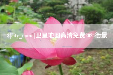 临邑卫星地图高清免费2024街景