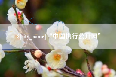 临邑“中国执行公开网”