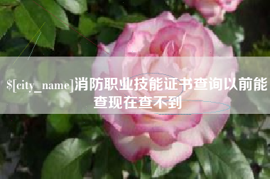 临邑消防职业技能证书查询以前能查现在查不到