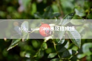 临邑5000米及格成绩