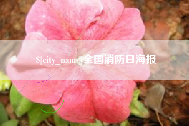 临邑全国消防日海报