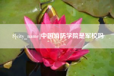 临邑中国消防学院是军校吗