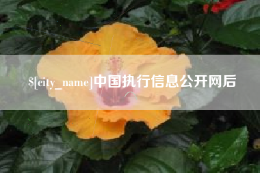 临邑中国执行信息公开网后