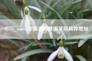 临邑中国消防救援学院具体地址
