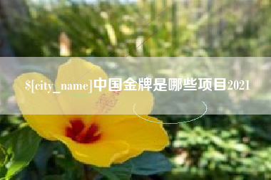 临邑中国金牌是哪些项目2021