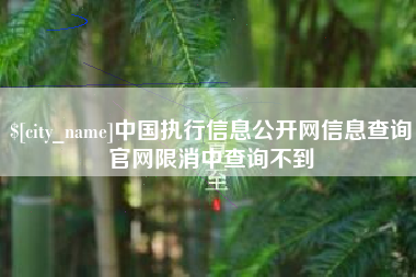 临邑中国执行信息公开网信息查询官网限消中查询不到