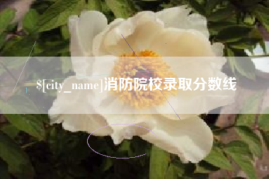 临邑消防院校录取分数线