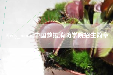 临邑中国救援消防学院招生简章