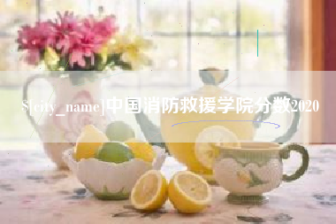 临邑中国消防救援学院分数2020