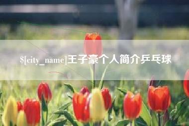 临邑王子豪个人简介乒乓球
