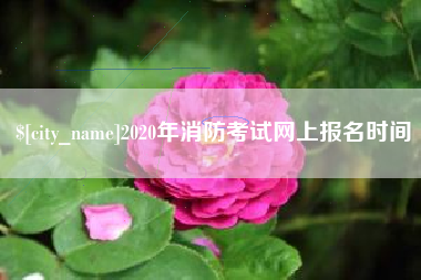 临邑2020年消防考试网上报名时间