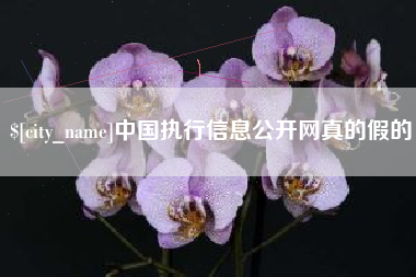 临邑中国执行信息公开网真的假的